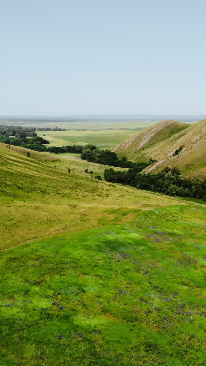 Verdi Colline Ondulate Sotto un Cielo Sereno, Vista Aerea con Drone di una Valle Pastorale con Erba Rigogliosa, Crinali Lontani. Media