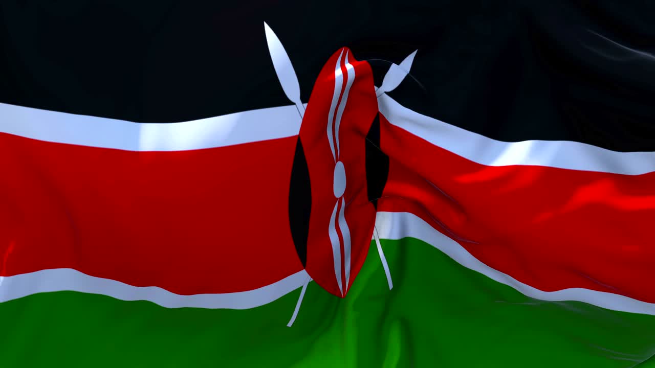 케냐의 발은 바람에 느린 동작 애니메이션 4k 현실적인 직물 질감 발 부드럽게 바람 날 연속적인 원활한 루프 배경에 불고 있습니다.