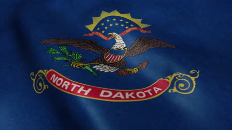 flag of north dakota video waving in wind. realistic us state flag background