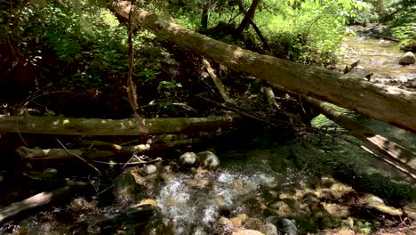 Shot-looking-down-at-mountain-stream-flowing-to-the-right,-camera-pans-right-to-reveal-a-fallen-log-and-lush-green-forest-in-background