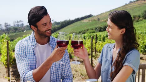 pareja brindando copas de vino en la granja