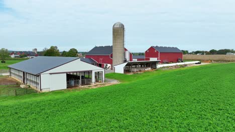 Granja-Americana-Con-Graneros,-Silos-Y-Campos-Rojos.