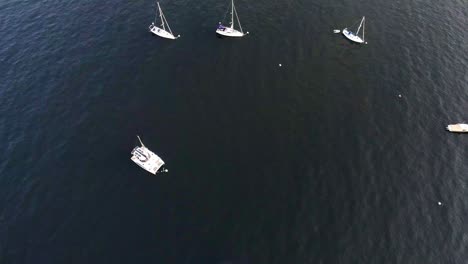 aerial view of sailboats docked in the bay