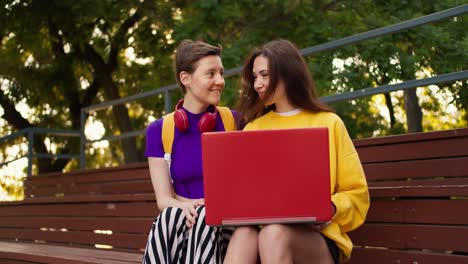 dos amigos: una chica morena con un suéter amarillo y una chica con un corte de pelo corto en una camiseta púrpura sentados en soportes marrones y trabajando en una computadora portátil roja en el parque en verano