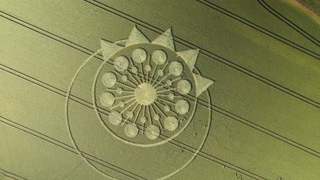 Crop-Circle---Eccentric-Circles-With-Crown-Pattern-On-Field-In-Owslebury,-Hamshire,-United-Kingdom