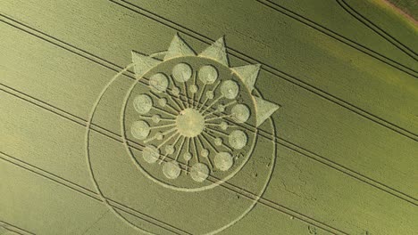 círculo de cultivo - círculos excéntricos con patrón de corona en el campo en owslebury, hampshire, reino unido