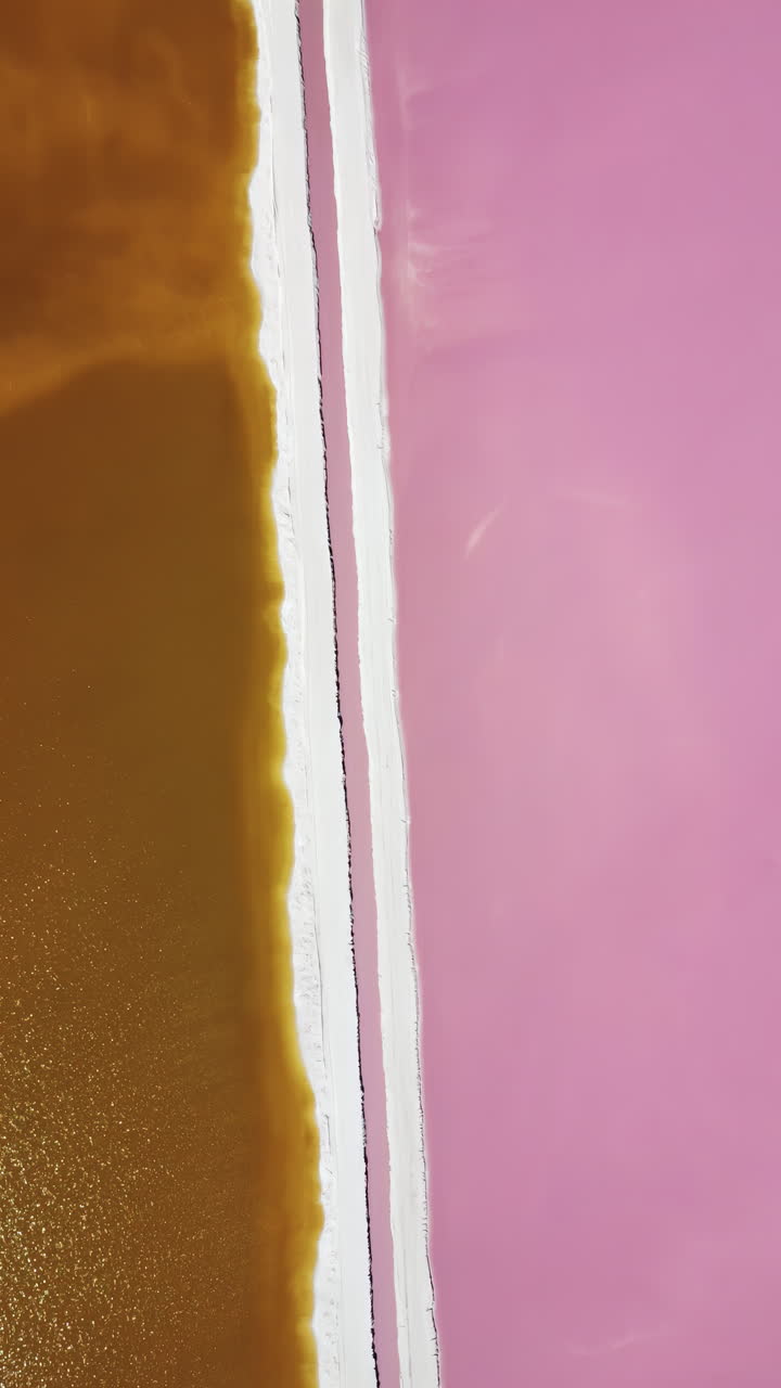 Vista aerea da drone che mostra colorate saline con acqua minerale rosa e arancione a Las Coloradas, Penisola dello Yucatan, Messico. Verticale
