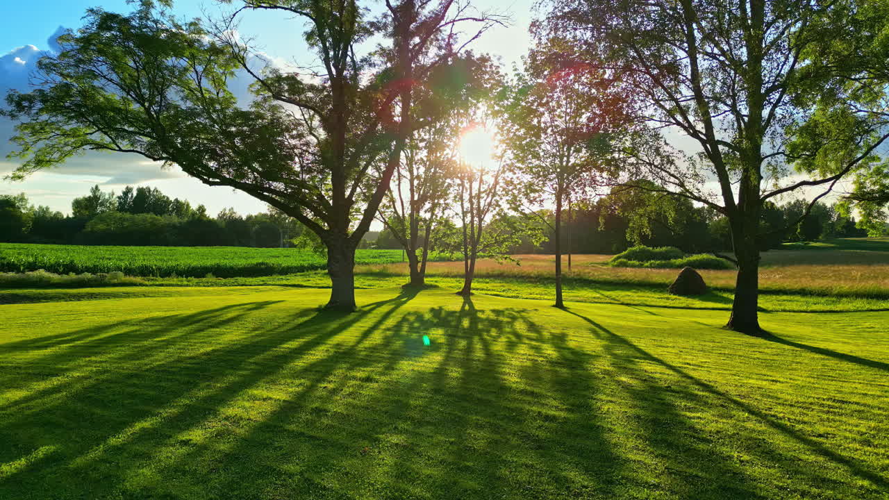 Sun, low in the sky, shinning and sparkling through the trees - push forward