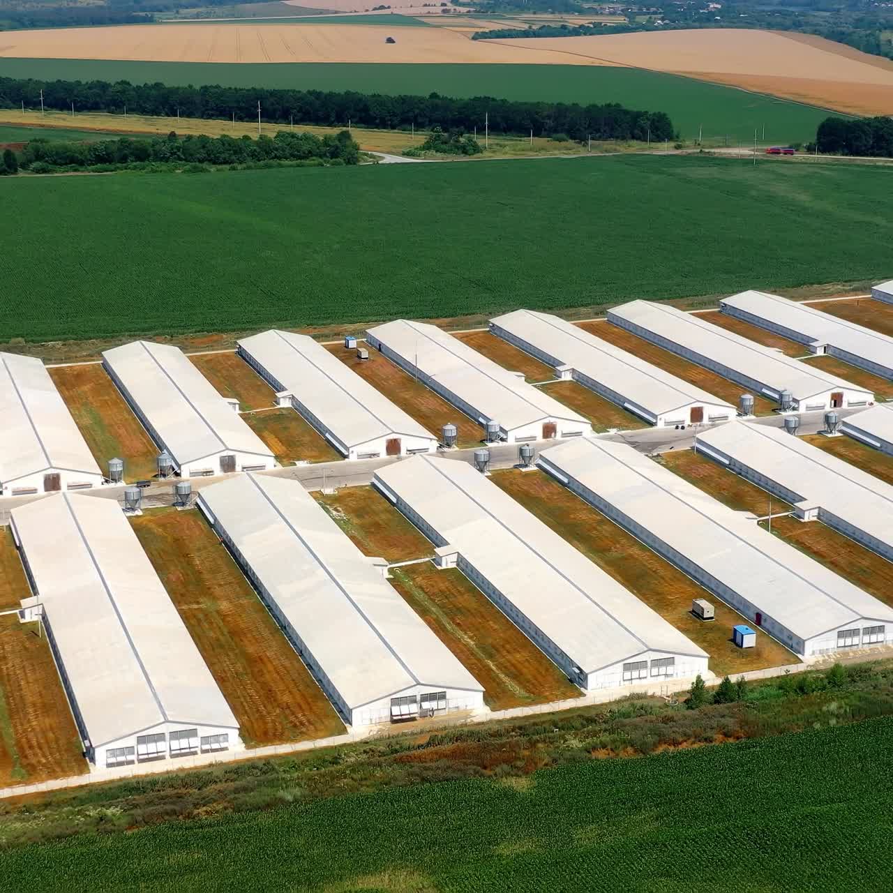 Poultry facility in rural area. Aerial view of new modern poultry farms