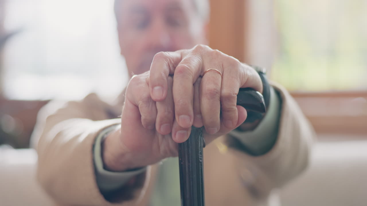 기 지이, 손, 고령자