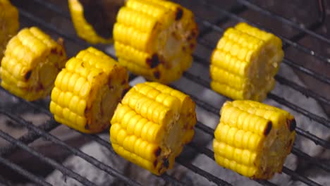maíz a la parrilla en la mazorca
