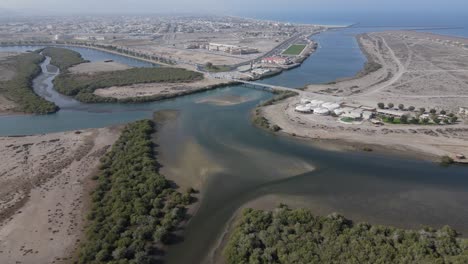 Aerial-view-of-the-Kalba-Mangrove-Forest-and-Kalba-city,-also-known-as-Khor-Kalba-located-in-the-northern-emirates-of-Sharjah,-United-Arab-Emirates