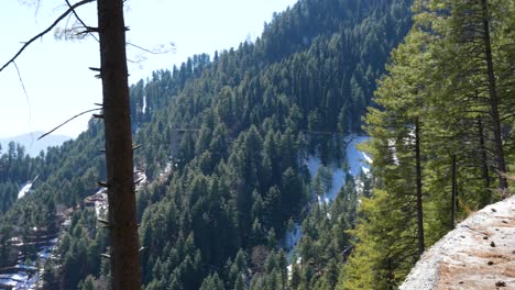 Panoramablick-Auf-Einen-Nadelwald-Mit-Kurvenreichen-Straßen-Und-Berghäusern-Am-Hang