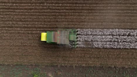 cotton picker harvesting a field, top down aerial view