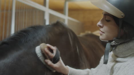 a person grooming a horse in a stable