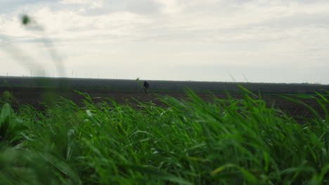 Bauernhof-Feldgras-Weht-Schwankend-Im-Wind.-Bauer,-Der-Auf-Der-Landwirtschaftlichen-Wiese-Arbeitet.