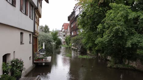 Patos-Flotando-Sobre-El-Río-Grosse-Blau-Con-Casas-Antiguas-Tradicionales-En-Ulm,-Alemania