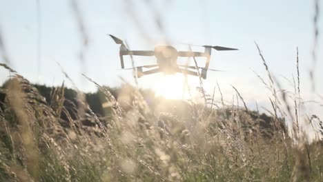 Drone-flying-over-a-field-of-long-grass-at-sunset-slow-motion