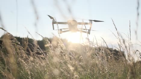 Drohne-Fliegt-über-Ein-Feld-Mit-Langem-Gras-Bei-Sonnenuntergang-In-Zeitlupe