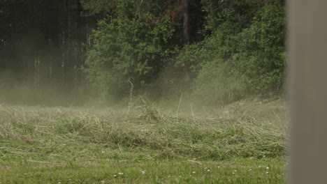 Dual-rotary-swath-windrower-cutting-hay