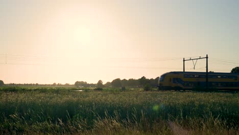 train passing through a field at sunset