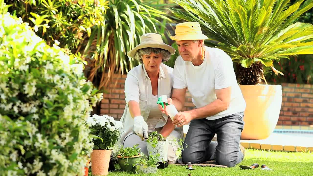 una pareja de ancianos haciendo jardinería juntos
