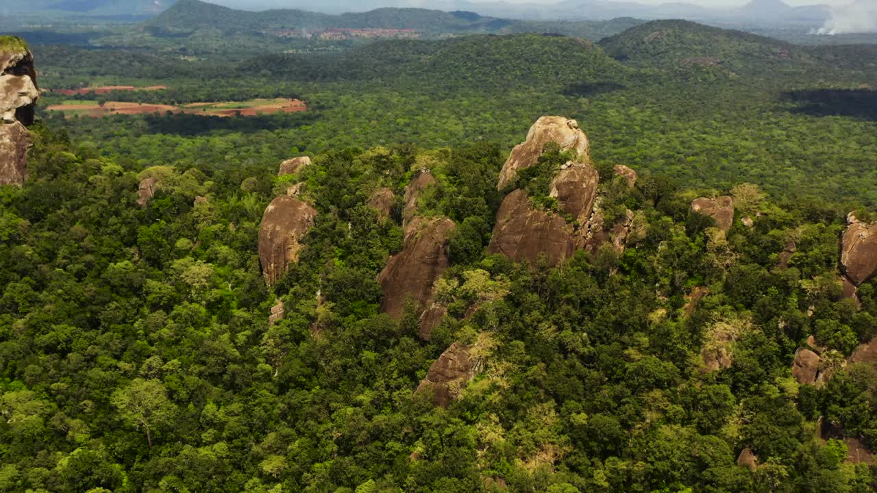 montañas y colinas con bosque. sri lanka.