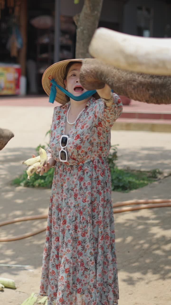 Woman in Conical Hat Feeding Bananas to Elephant