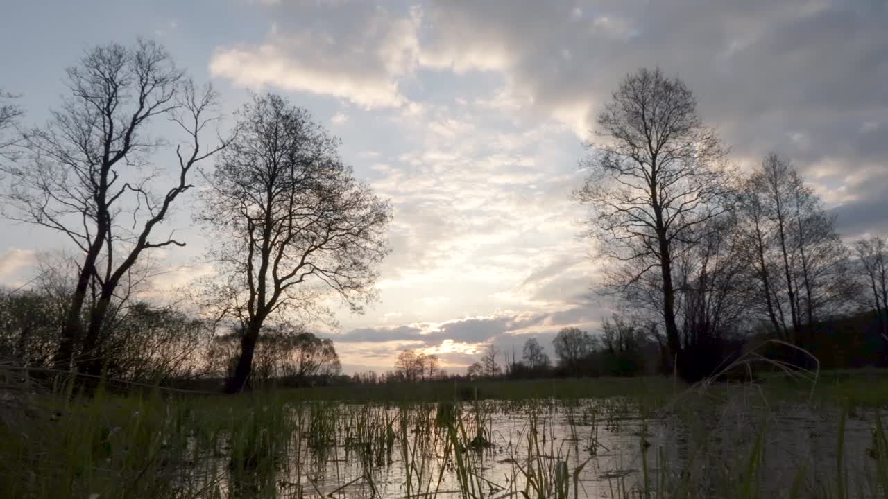 초원에서 안개가 자욱한 일출에서 timelapse