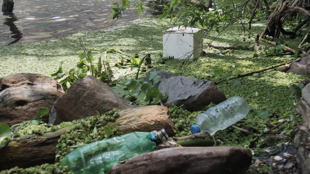la basura se acumula con la maleza kariba en la superficie del lago cerca de la costa