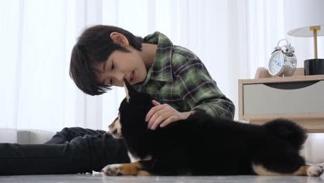 asian boy petting brown and tan shiba puppy, sitting on on the floor