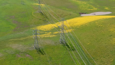 yellow wildflowers after heavy spring rains bloom in the california grasslands - aerial