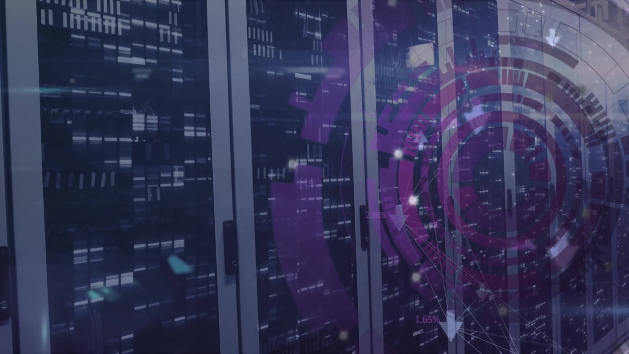 Animation of data processing and scope over computer servers
