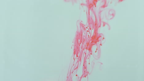 el tinte rojo cae a través de un líquido transparente con espacio blanco negativo creando un retrato abstracto de caos y movimiento