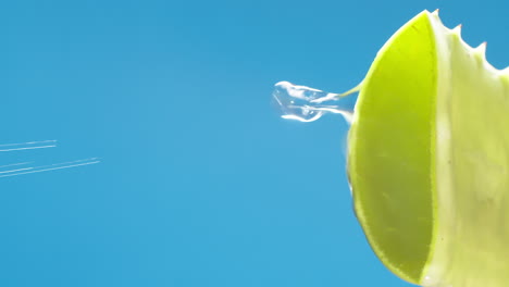 Vertical-Pure-water-drops-and-streams-to-green-aloe-vera-on-blue-background