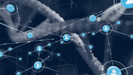 animation of dna strands with network of user icons for digital communication