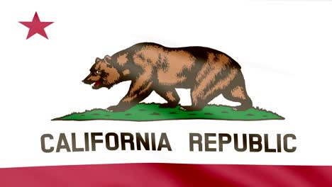 large looping animated flag of california