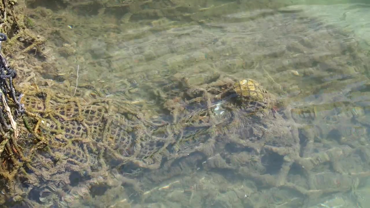 High angle shot of a submerged fishing net in clear water at Cassis harbor, France.