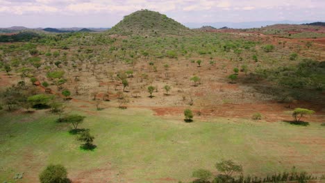 border of plowed farmland and wilderness of african savanna in southern kenya, aerial