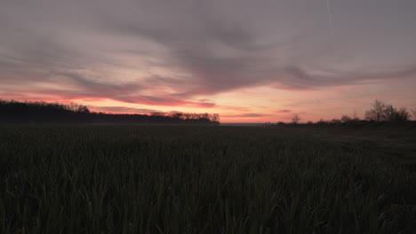 Saliendo-De-La-Línea-Del-Horizonte-De-Hierba-Mojada-Cielo-Rojo-Amanecer-Amanecer-Campo-De-Elevación-De-Rocío