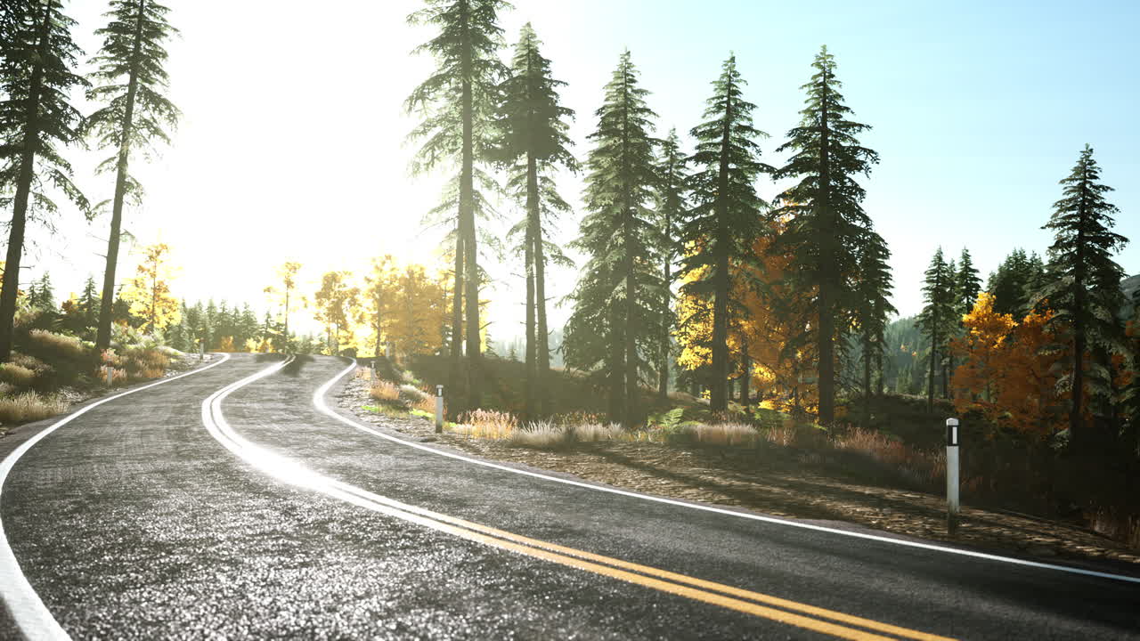 해가 지는  ⁇ 빛 아래의 숲길