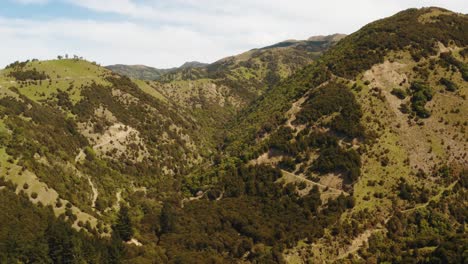 hills and forest drone footage with roads going up hill