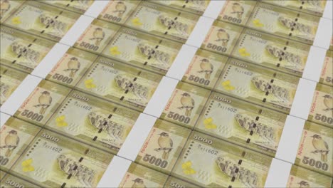 billetes de 5000 rupias de sri lanka impresos por una prensa de dinero