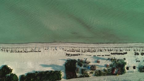 orilla del paraíso tropical con playa blanca de la península de holbox, méxico