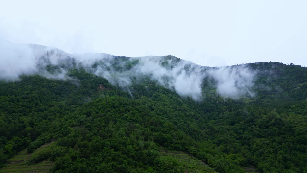 White mist flows across a densely forested Alpine ridgeline, creating a quiet and atmospheric scene. Shot at Villa di Tirano, Sondrio, Italy (Italia)