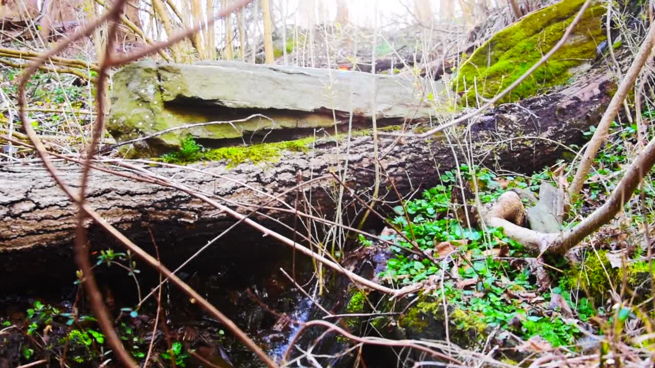 Very small water fall, pan up to see the sun and the trees