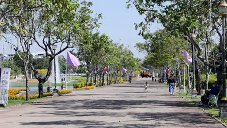 people walking along a tree-lined park path