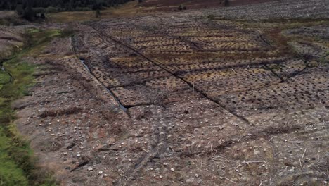 Silvicultura-Tala-De-Madera-Cosecha-Deforestación-Elevación-Aérea-Derecho-Dolly-Vista-Anterior-Bosque-Destruido