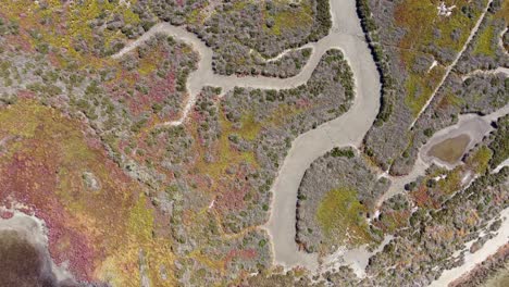 imágenes de drones fluviales de alta resolución de delta axios - natura 2000