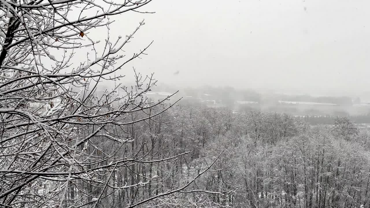 Panorama of the city in a snowfall from a height